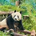 顶流杭州公开见面第一天，见到了！_4