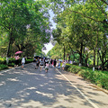 自驾游湘西记_0