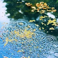 冷空气来袭，明天开始，浙江再次降温_3