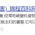 破壁机的优缺点：警惕四大隐患副作用！_1
