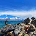 西藏旅游｜在冬季来临之前，我们约一场冈仁波齐转山吧_3