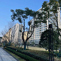 客户遭虹吸？成交跌一半？新一轮低价冲击，杭州这个楼盘并不慌！_1