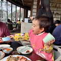 从五星级酒店吃到老牌青旅，周末带娃主打一个吃喝玩乐_3