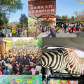 杭州野生动物园玩了一趟回来有话要说_2