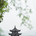 在西子湖伴开启一场甜蜜邂逅_0