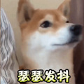 春季忽冷忽热，这病毒易被激活！患者说：简直比电击还痛_1