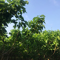五一假期随便逛逛_1