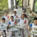 青团悠悠，文化先行 ——暨学正小学语文跨学科活动_5