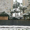 【滨江光影·幸福印记】+银装素裹的雪世界 ——滨江美景_0