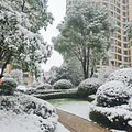 【滨江光影·幸福印记】+银装素裹的雪世界 ——滨江美景_2