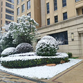 【滨江光影·幸福印记】+银装素裹的雪世界 ——滨江美景_3