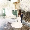 找浙大毕业的学霸男生结婚_1