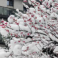 【滨江光影·幸福印记】衢州万固.誉江南 风景美如画_3