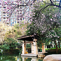 【滨江光影·幸福印记】+申花的传奇与标杆——万家花城_5
