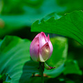 富士龙GF500mmF5.6RLMOISWR”试机片_4