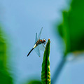 富士龙GF500mmF5.6RLMOISWR”试机片_1