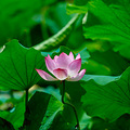 富士龙GF500mmF5.6RLMOISWR”试机片_3
