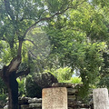 北京行，一场松弛的紧凑之旅_5
