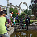 齐心协力起大树，援手共治我家园