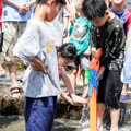 杭州宝藏玩水地！别去九溪人挤人了！_1