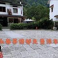 梅家坞农居出租_0