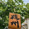 【2024晒游记】+秋高气爽的季节，满觉陇赏桂花最佳的路线._3