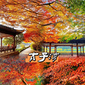2024年秋天杭州18大赏秋好去处珍藏版上集_4