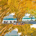 2024年秋天杭州18大赏秋好去处珍藏版上集_1