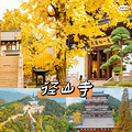 2024年秋天杭州18大赏秋好去处珍藏版上集_5