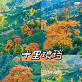 2024年秋天杭州18大赏秋好去处珍藏版上集_3