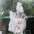 桂雨飘香满觉陇 好久不见石屋洞_3