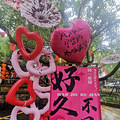 桂雨飘香满觉陇 好久不见石屋洞_5
