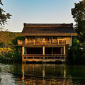 尼康日常扫街_3