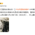 刚刚，台风“康妮”登陆！多地宣布停课、停航