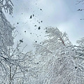 淡季的九寨沟太美了，还赶上了下雪！_2