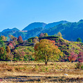 如约而至，皖南秋日画卷：秘境·协里。_1