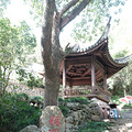 周末行：宁波_4