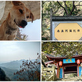 周末旅游特种兵之建德一日游_3