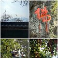 周末旅游特种兵之建德一日游_4