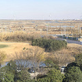 南通记忆—如东小洋口景区揽胜_2