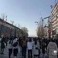 一棵树上有30个！跨年夜放飞的气球，该如何处理？_2