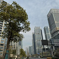 新房“被迫”提早变成二手房！在市场内“抢跑”太难了