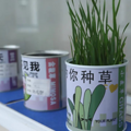 课间新玩法！“拒绝焦虑”“一直艾你”……特色盆栽点亮校园生活_0