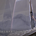 农村聚餐不得使用这个食材？综艺节目里翻过车_0