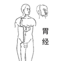 白发长在不同位置，各有调理要点_3