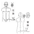 白发长在不同位置，各有调理要点_2