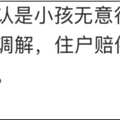 “熊孩子”丢湿巾砸中私家车！家长赔偿赔7000元_3