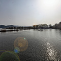 森林公园2_3