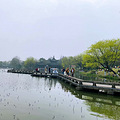 山水风光（四十一）之湘湖_4