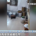 霉菌超标还卖几百元，央视曝光这一爆款：很多人用过_3